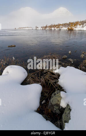 Paesaggio autunnale nella neve, Rondane NP, Norvegia Foto Stock