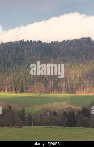 Paesaggio in Svizzera Sassone, Germania Foto Stock