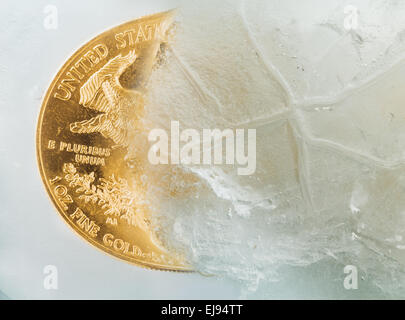 Golden Eagle coin emergente dal Deep Freeze Foto Stock