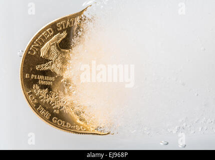 Golden Eagle coin emergente dal Deep Freeze Foto Stock