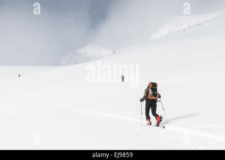 Gli sciatori in tour, Stuor Reaiddavaggi, Lapponia Foto Stock