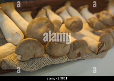 I funghi nel cesto al mercato, Spagna Foto Stock