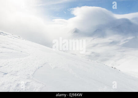 Paesaggio in Stuor Reiaddavaggi, Lapponia, Svezia Foto Stock