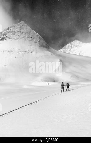 Gli sciatori in tour, Stuor Reaiddavaggi, Lapponia Foto Stock