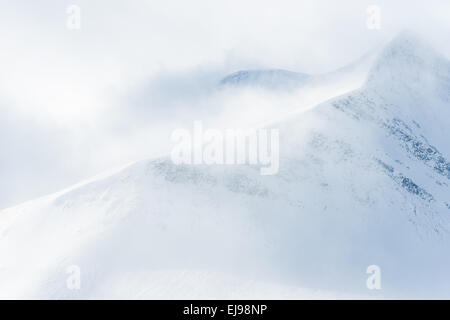 Paesaggio in Stuor Reiaddavaggi, Lapponia, Svezia Foto Stock