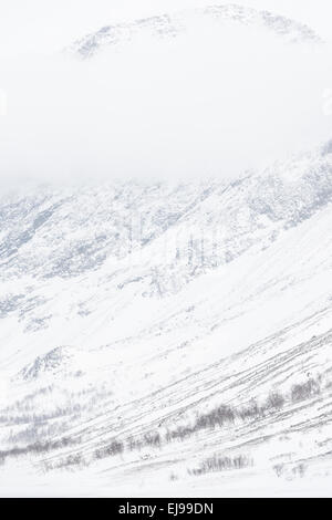 Paesaggio in Vistasdalen, Lapponia, Svezia Foto Stock