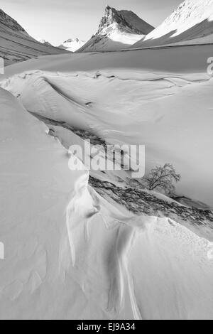 Paesaggio in Stuor Reiaddavaggi, Lapponia, Svezia Foto Stock