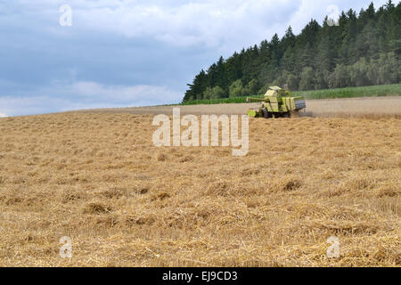 Combinare più piccolo a grande campo di grano Foto Stock