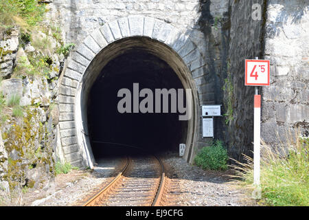 Binari del treno che conduce in un tunnel Foto Stock