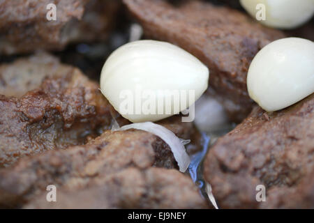 Macro cibo, aglio sul fegato fritto Foto Stock