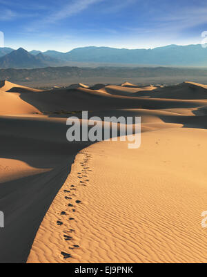 La mattina presto nel deserto Foto Stock