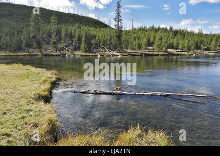 Il letto del fiume è coperto da ooze Foto Stock