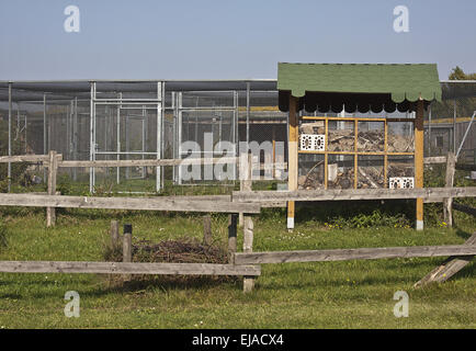 Hotel di insetto Foto Stock