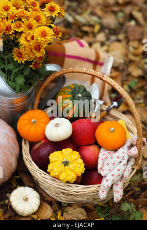 Autunno still life con diverse varietà di zucche Foto Stock