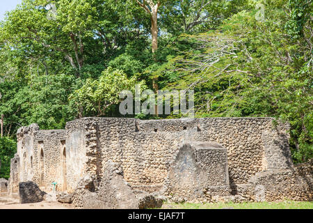 Rovine di Gede Foto Stock