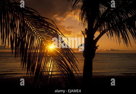 AFRICA FRANCIA LA REUNION Foto Stock