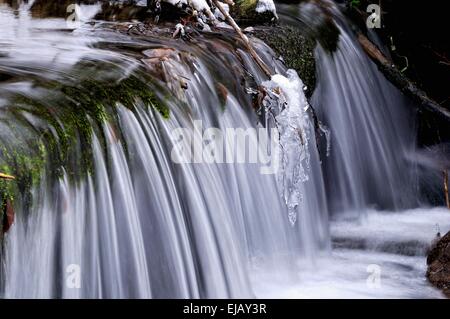 Congelati nel torrente Foto Stock