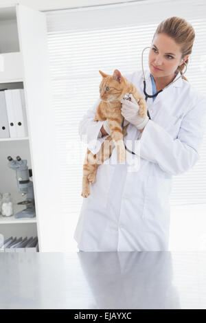 Vet tenendo un adorabile cat Foto Stock