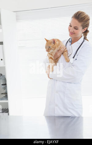 Vet tenendo un adorabile cat Foto Stock