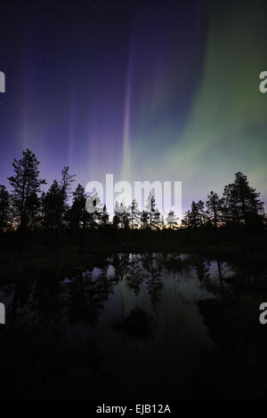 Northern lights riflettendo in un lago, la Lapponia Foto Stock