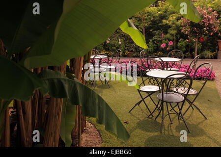 Europa ITALIA LAGO MAGGIORE Foto Stock