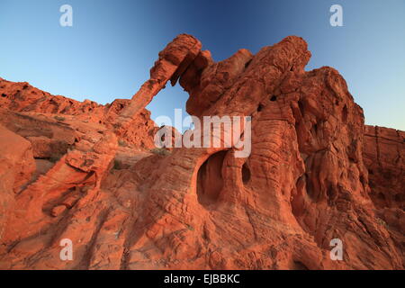 Elephant Rock della Valle del Fuoco Nevada Foto Stock