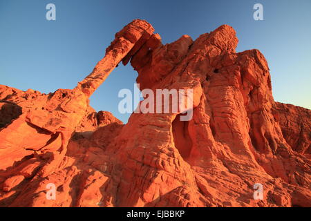 Elephant Rock della Valle del Fuoco Nevada Foto Stock