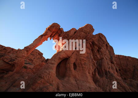 Elephant Rock della Valle del Fuoco Nevada Foto Stock