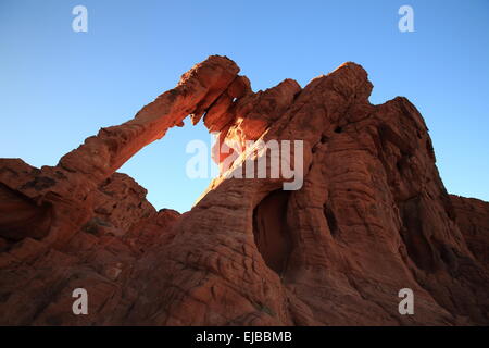 Elephant Rock della Valle del Fuoco Nevada Foto Stock