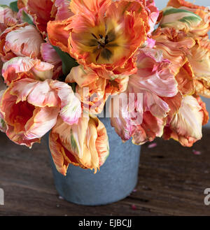 Albicocca e salmone pappagallo tulipani nel bouquet Foto Stock