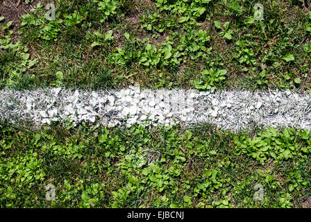 Dritto bianco gesso marcatura linea su sfondo di erba. Foto Stock