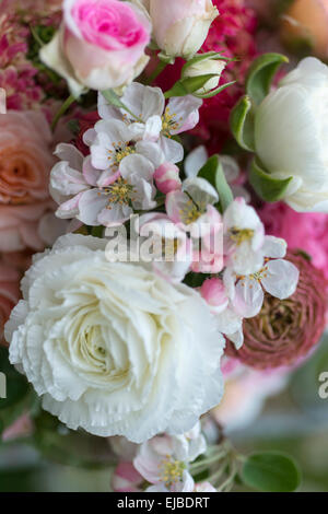 La molla bouquet di rose rosa, ranunculus e apple blossoms del Evereste crabapple tree. Foto Stock