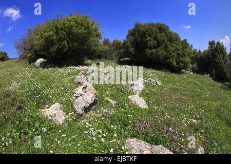 Colline di Galilea Foto Stock