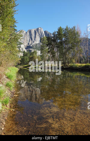 Nell'acqua limpida che riflette gli alberi Foto Stock