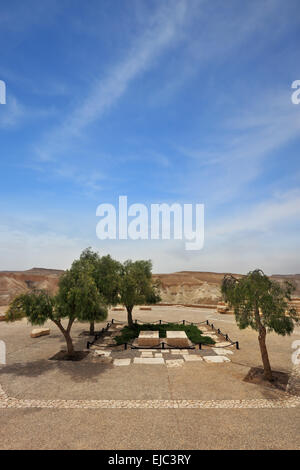 Kibbutz Sde Boker nel deserto del Negev Foto Stock