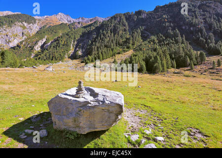 Il verde dei prati della valle Foto Stock