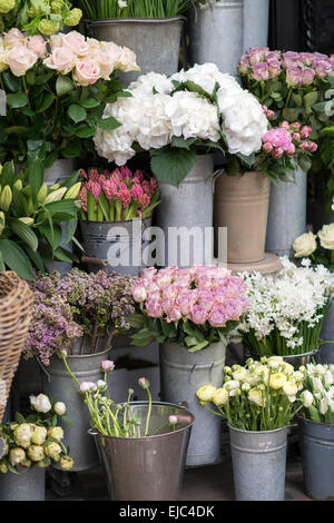 Fiori di Primavera compresi lillà, ortensie, giacinto, paperwhites, ranuncoli e rose in secchielli zinco presso il mercato dei fiori, Londra Foto Stock