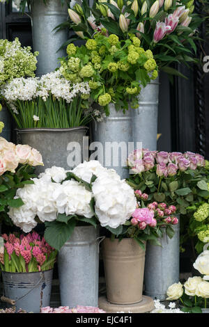 Fiori di Primavera compresi lillà, ortensie, giacinto, paperwhites, peonie e rose in secchielli zinco presso il mercato dei fiori, Londra Foto Stock