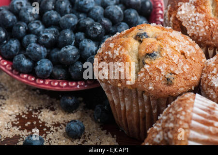 Muffin ai mirtilli Foto Stock