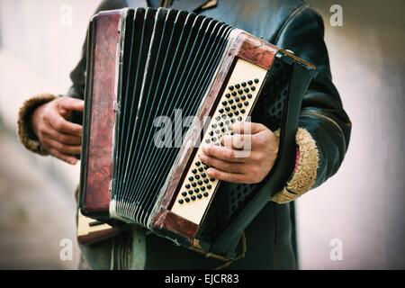 Il musicista suona la fisarmonica Foto Stock