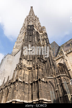 La cattedrale di Santo Stefano a Vienna Foto Stock