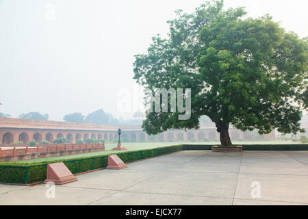 Charbagh o giardino Mughal nella nebbia di mattina Foto Stock