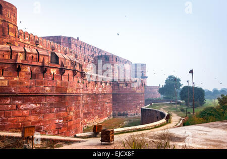 Red Ford nella nebbia mattutina, Agra, India Foto Stock