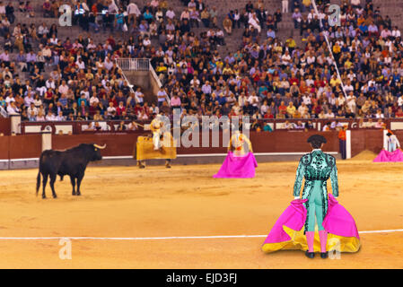 Matador e toro nella corrida a Madrid Foto Stock