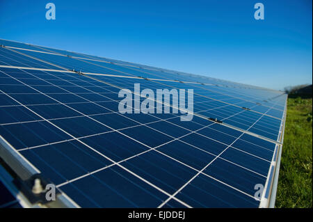 Close up di una fila di pannelli solari in un campo aperto. Un impianto fotovoltaico. Foto Stock