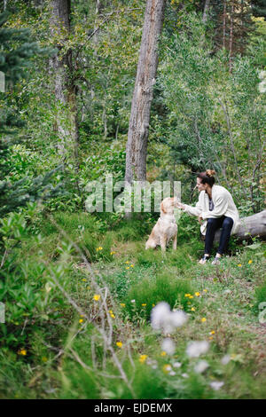 Una donna seduta su un log pacche suo retriever cane. Foto Stock