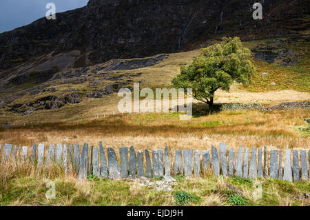 Scherma di ardesia a Plascwmllan accanto al percorso Watkin in Snowdonia, il Galles del Nord. Foto Stock