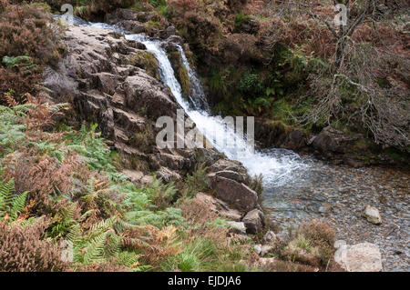 Una montagna rocciosa stream vicino Beddgelert in Snowdonia. I colori autunnali nella vegetazione. Foto Stock