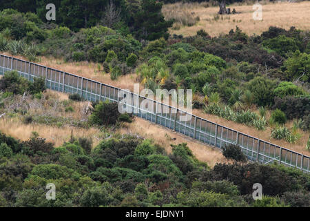 Orokonui ecosanctuary park Nuova Zelanda, Dunedin Orokonui Valley Waitati Foto Stock