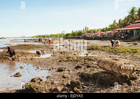 Mercato del granchio in Kep, Cambogia. Tradizionale occupazione per fare una vita. Foto Stock